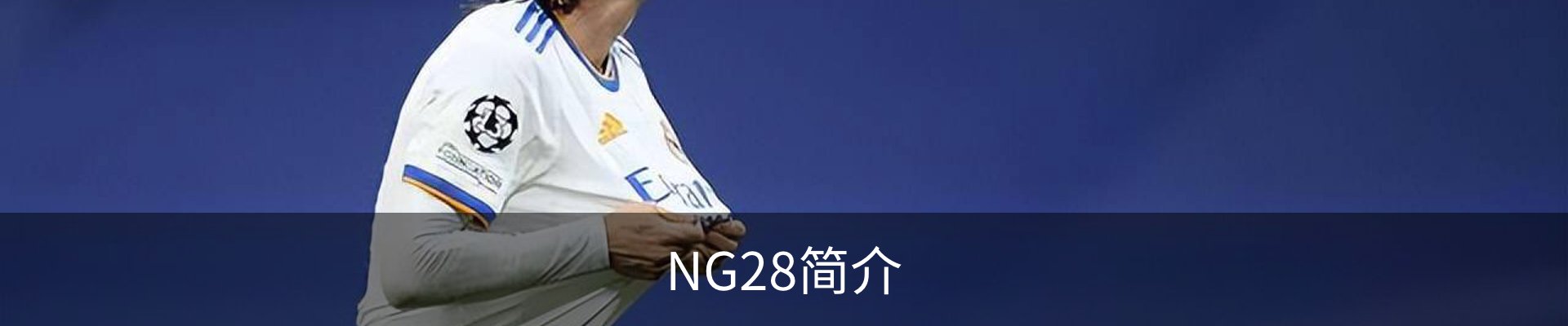 NG28简介